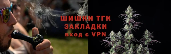 Альфа ПВП Протвино