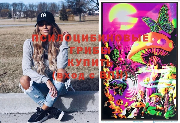 Альфа ПВП Протвино